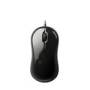 souris.jpg