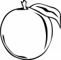 icn:gerald-g-simple-fruit-ff-menu-7-2400px.png