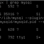 mysql_02.png